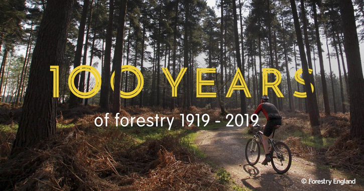 100 years of the Forestry England